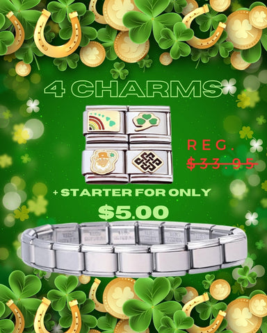 Set Of 4 Lucky Charms And Stainless Steel Shiny Starter Bracelet Combo