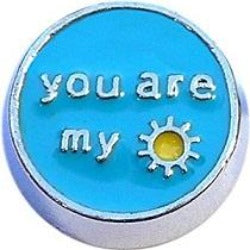 You are My Sunshine Floating Charm