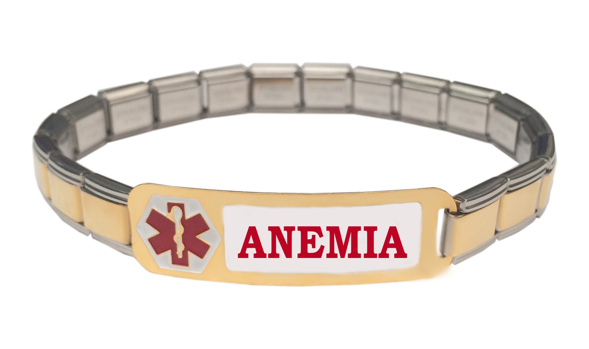 Anemia Medical Alert 9mm Italian Charm Starter Bracelet
