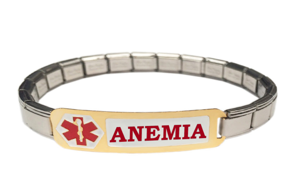 Anemia Medical Alert 9mm Italian Charm Starter Bracelet