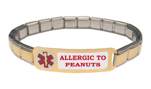Allergic To Peanuts Medical Alert 9mm Italian Charm Starter Bracelet