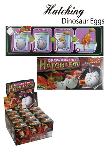 Hatching Dinosaur Egg