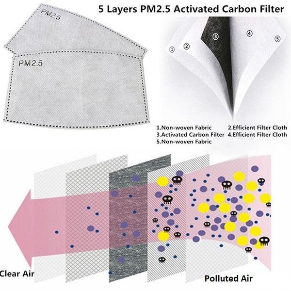 PM 2.5 Mask Filter Inserts