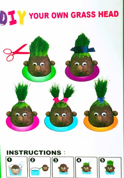 Growing Grass Head Plant Education Toy