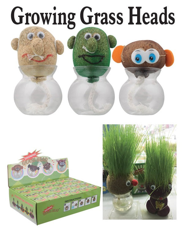Growing Grass Head Plant Education Toy