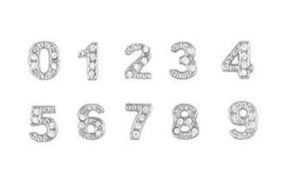 Silver Numbers Floating Charm